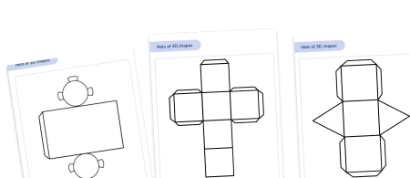 Nets of 3D Shapes